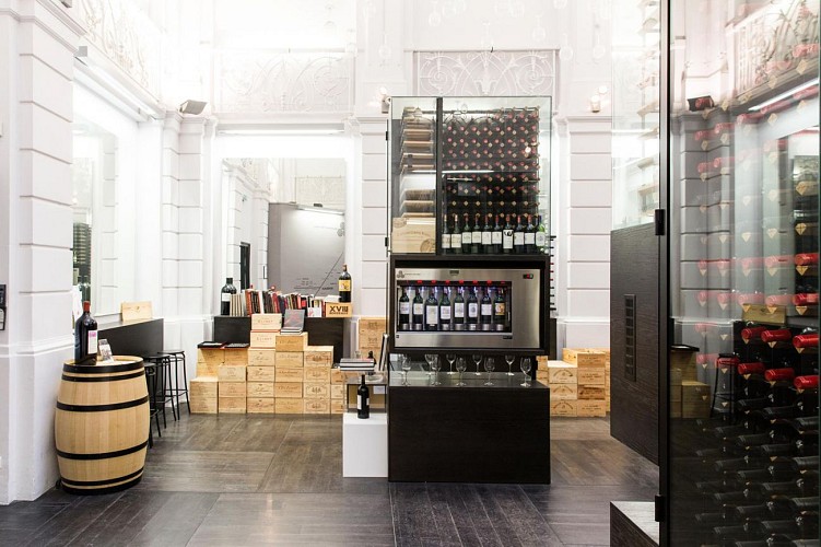 Max Bordeaux / Wine Gallery & Cellar