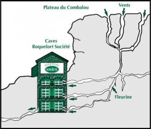 Visite des caves de "Roquefort société".