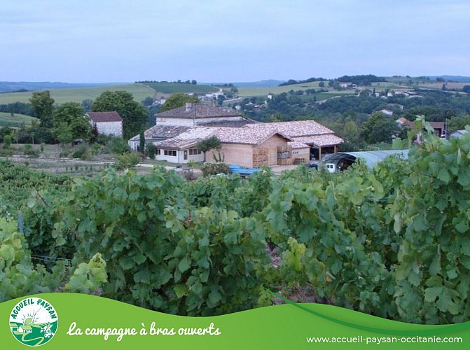 DOMAINE DE PEYRES-COMBE