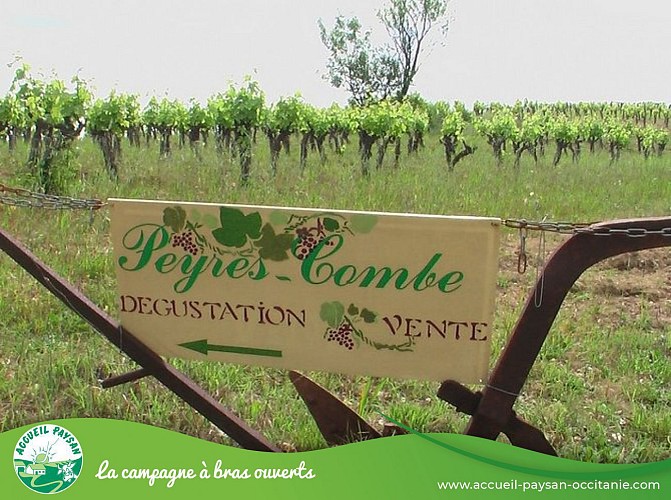 DOMAINE DE PEYRES-COMBE