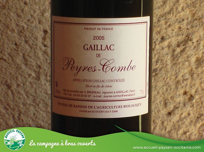 VIN DU DOMAINE DE PEYRES-COMBE