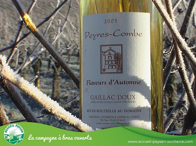 VIN DU DOMAINE DE PEYRES-COMBE