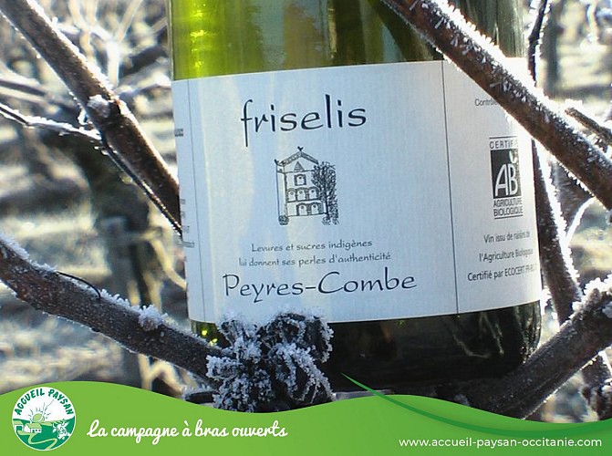 VIN DU DOMAINE DE PEYRES-COMBE
