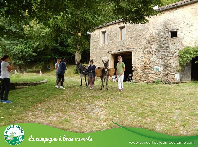 LA FERME DE ROQUECAVE