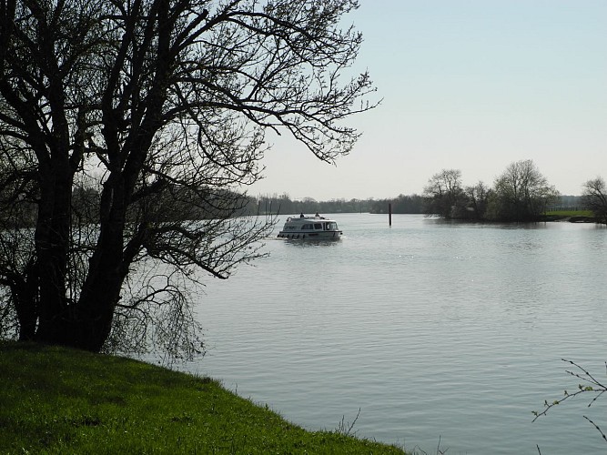 Du bord de la Saône, prenez le chemin de halage, à gauche, le long de la rive. Longez la Saône.