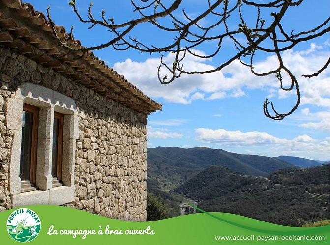 Le puech et vous Chambre d'hôtes à Saint-André-de-Majencoules