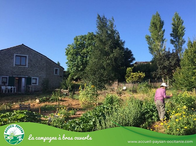 Le petit pailler - Accueil Paysan Occitanie - produits à la ferme, Camping, Table d'hôtes à Cornus