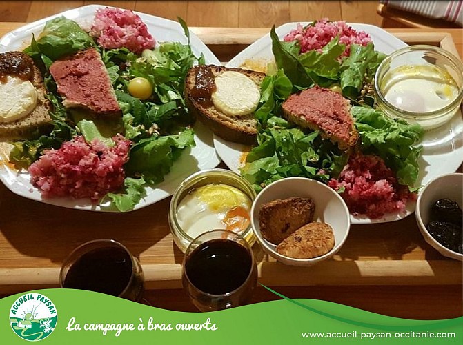 L'arche de marcilhac Activité artisanale, Gîte de séjour, Casse-croute, Gîte, Visite de ferme à Lamothe-Fénelon