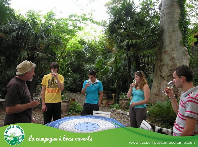 dégustation Domaine pons gralet Camping car, Activité agricole, Visite de ferme à Estagel