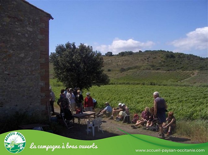 visite Domaine pons gralet Camping car, Activité agricole, Visite de ferme à Estagel