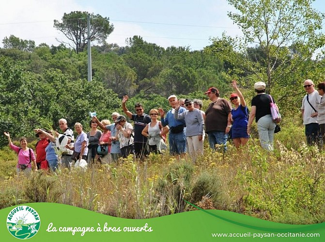 visite Domaine pons gralet Camping car, Activité agricole, Visite de ferme à Estagel