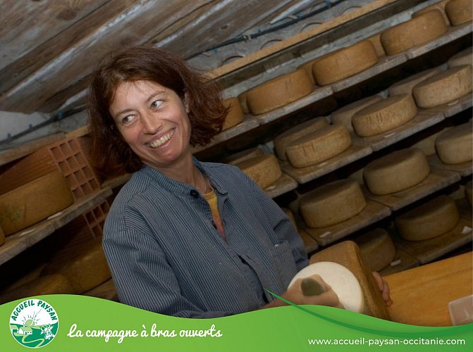 la fromagere : La borde jean-marie Gîte, Activité agricole à Saint-Louis-et-Parahou