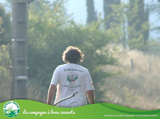 La borde jean-marie Gîte, Activité agricole à Saint-Louis-et-Parahou