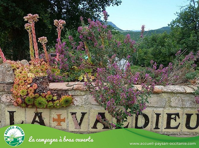 Chambres d'hotes et camping a la ferme lavaldieu Camping, Table d'hôtes, Chambre d'hôtes, Gîte, Ferme équestre à Rennes-le-Château