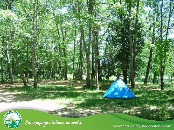 Chambres d'hotes et camping a la ferme lavaldieu Camping, Table d'hôtes, Chambre d'hôtes, Gîte, Ferme équestre à Rennes-le-Château