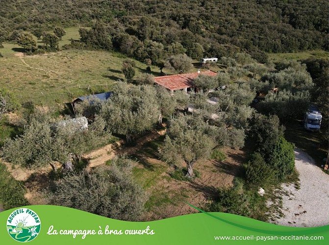 Le camping de cucugnan Aire naturelle à Cucugnan