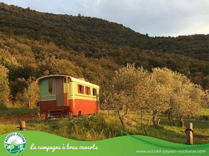 Le camping de cucugnan Aire naturelle à Cucugnan
