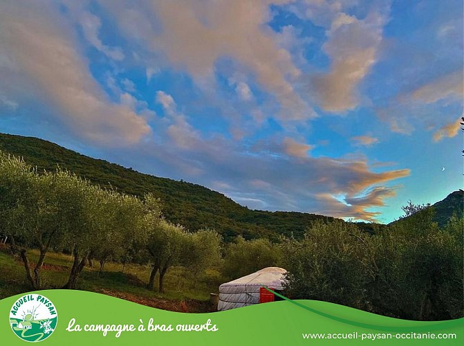 Le camping de cucugnan Aire naturelle à Cucugnan