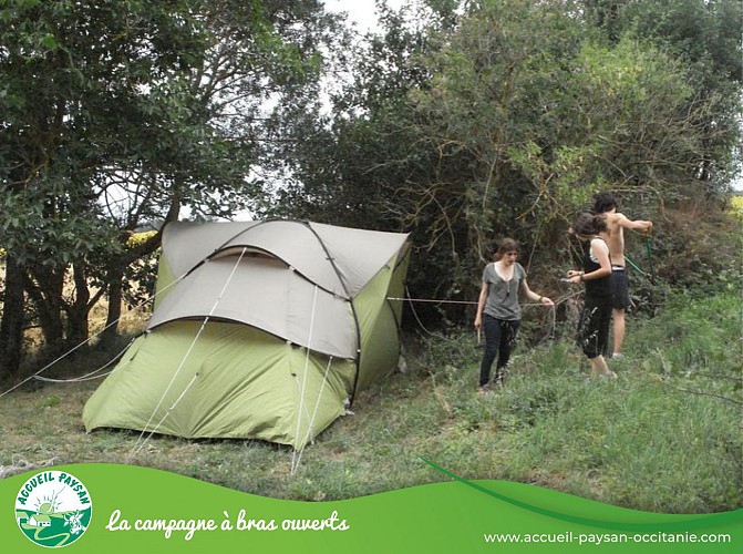 Camping du mouton noir Camping, Activité d'accueil social, Activité agricole à Sainte-Anne