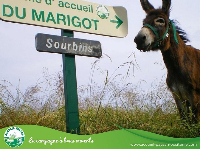 Ferme du marigot Activité de transformation uniquement, Chambre d'hôtes, Gîte, Accueil pédagogique à la journée, Activité agricole à La Fouillade