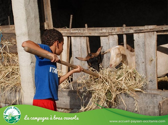 Ferme du marigot Activité de transformation uniquement, Chambre d'hôtes, Gîte, Accueil pédagogique à la journée, Activité agricole à La Fouillade