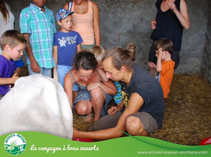 Ferme du marigot Activité de transformation uniquement, Chambre d'hôtes, Gîte, Accueil pédagogique à la journée, Activité agricole à La Fouillade