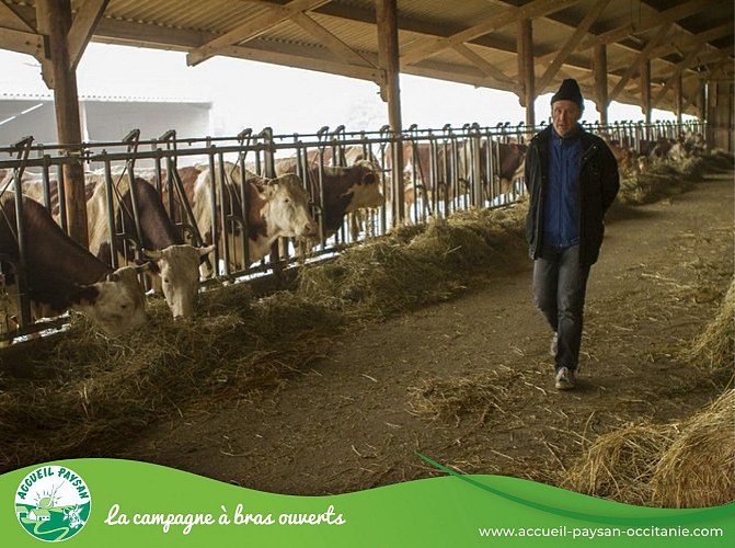 Ferme du marigot Activité de transformation uniquement, Chambre d'hôtes, Gîte, Accueil pédagogique à la journée, Activité agricole à La Fouillade