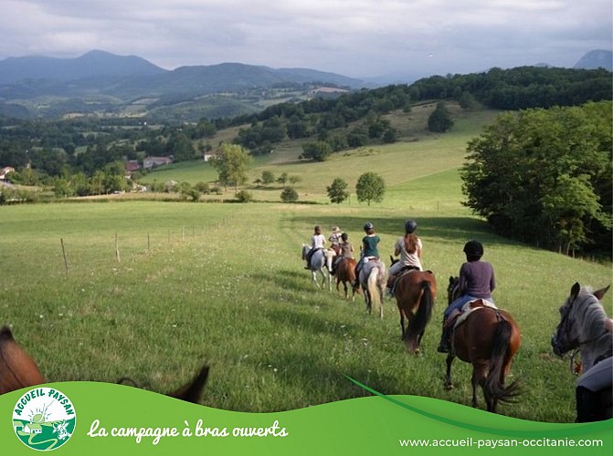 Equiloisirs Camping, Activité agricole, Activité d'accueil social, Ferme équestre, Ferme asine, Activité de transformation uniquement à Fabas