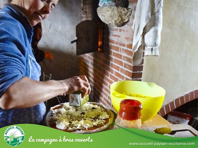 Equiloisirs Camping, Activité agricole, Activité d'accueil social, Ferme équestre, Ferme asine, Activité de transformation uniquement à Fabas