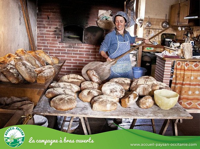 Equiloisirs Camping, Activité agricole, Activité d'accueil social, Ferme équestre, Ferme asine, Activité de transformation uniquement à Fabas