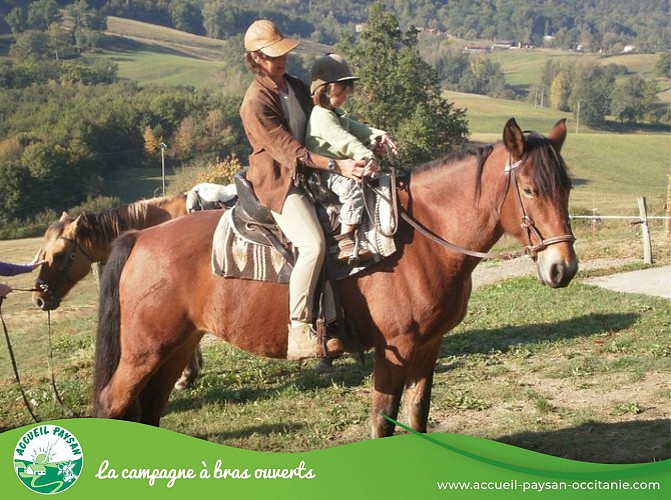 Equiloisirs Camping, Activité agricole, Activité d'accueil social, Ferme équestre, Ferme asine, Activité de transformation uniquement à Fabas