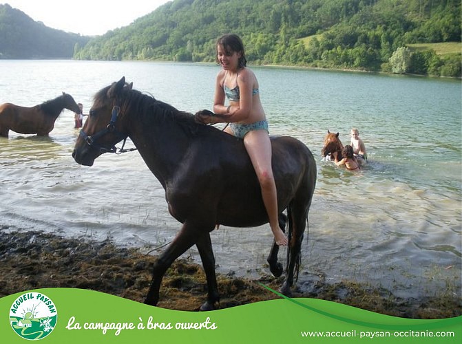 Equiloisirs Camping, Activité agricole, Activité d'accueil social, Ferme équestre, Ferme asine, Activité de transformation uniquement à Fabas