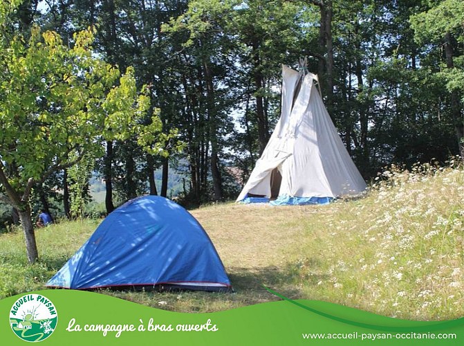 Equiloisirs Camping, Activité agricole, Activité d'accueil social, Ferme équestre, Ferme asine, Activité de transformation uniquement à Fabas