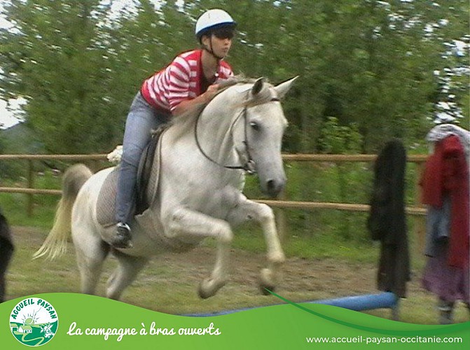 Equiloisirs Camping, Activité agricole, Activité d'accueil social, Ferme équestre, Ferme asine, Activité de transformation uniquement à Fabas