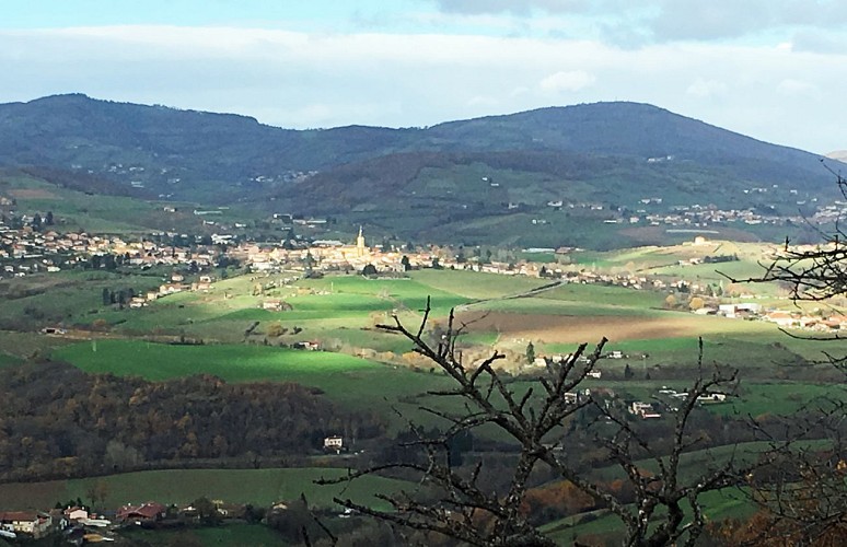 Image du poi