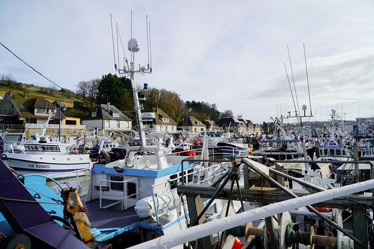 Port de pêche