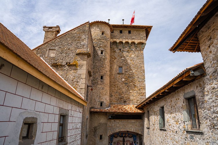Castle of Saint Michel d'Avully