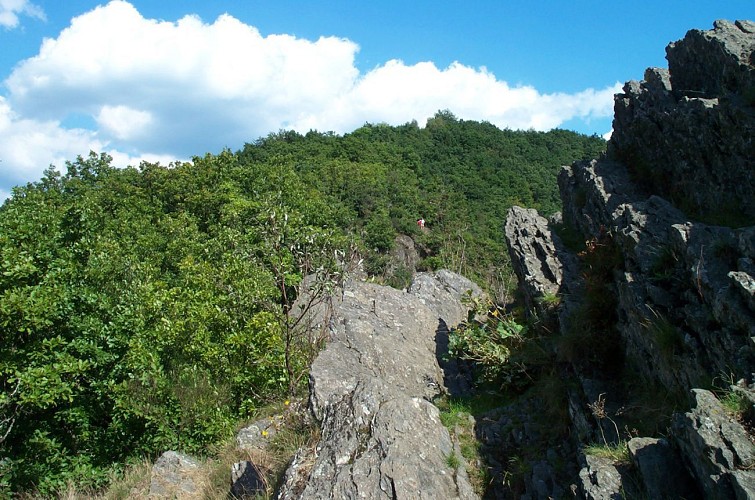 Le rocher dans le méandre de l'Ourthe dit "Le Hérou"