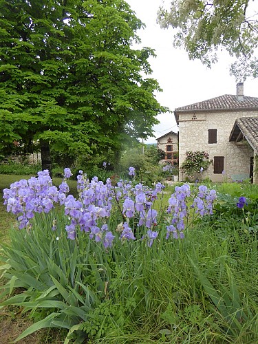 Domaine Peyres-Combe