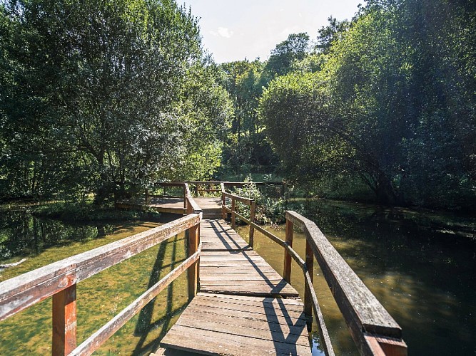 Parc du Vallon de la Dollée