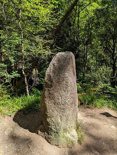image du object