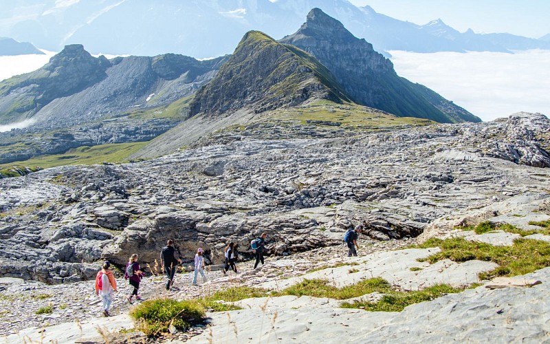 Maison de la Montagne