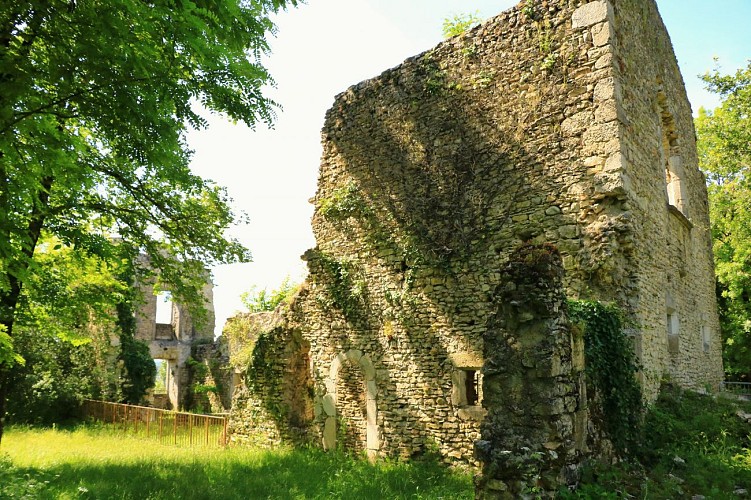 Site médiéval de Quirieu