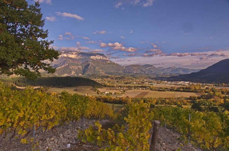 Panorama vallée de la Drôme