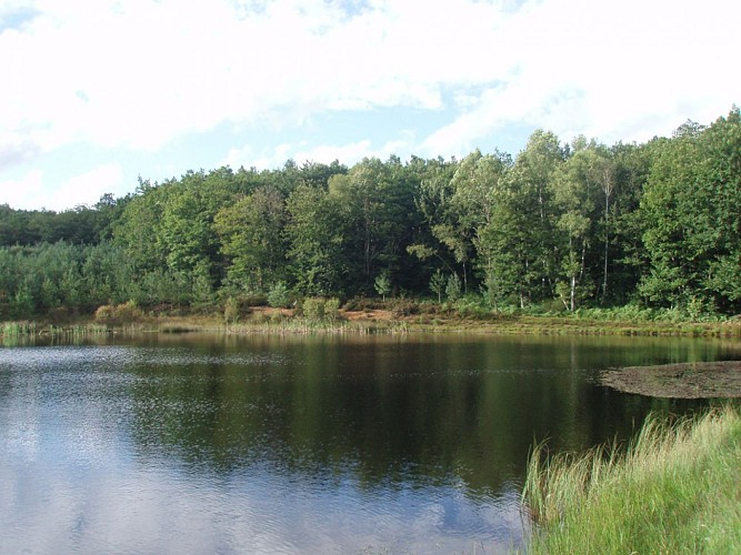 Parcours permanent d'orientation de la forêt de Mirambel