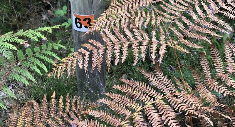 Parcours orientation Mirambel