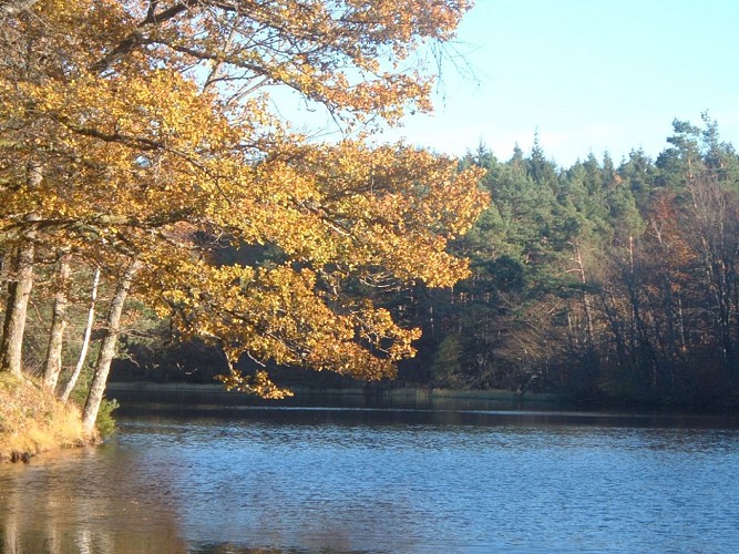 Parcours permanent d'orientation Bois de Chaleix_1