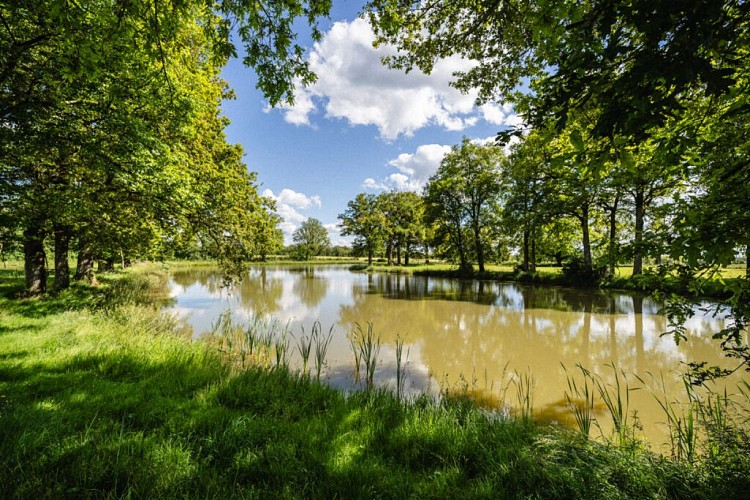 plan-deau-stremy-1024x683