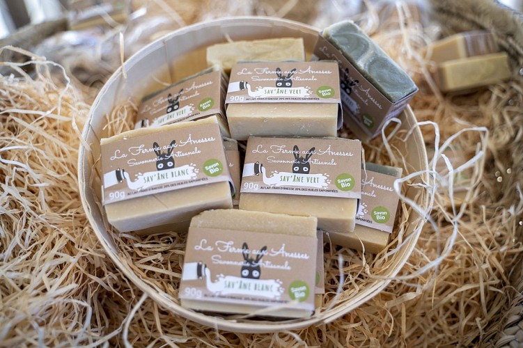 LA-FERME-AUX-ANNESSELA-FERME-AUX-ANNESSEDSC02796