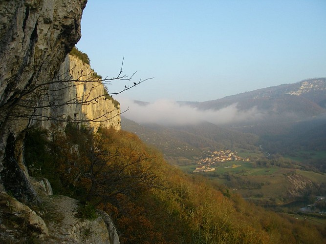 Lézard des Bois - Canyoning, Climbing, Hiking and Forest bathing